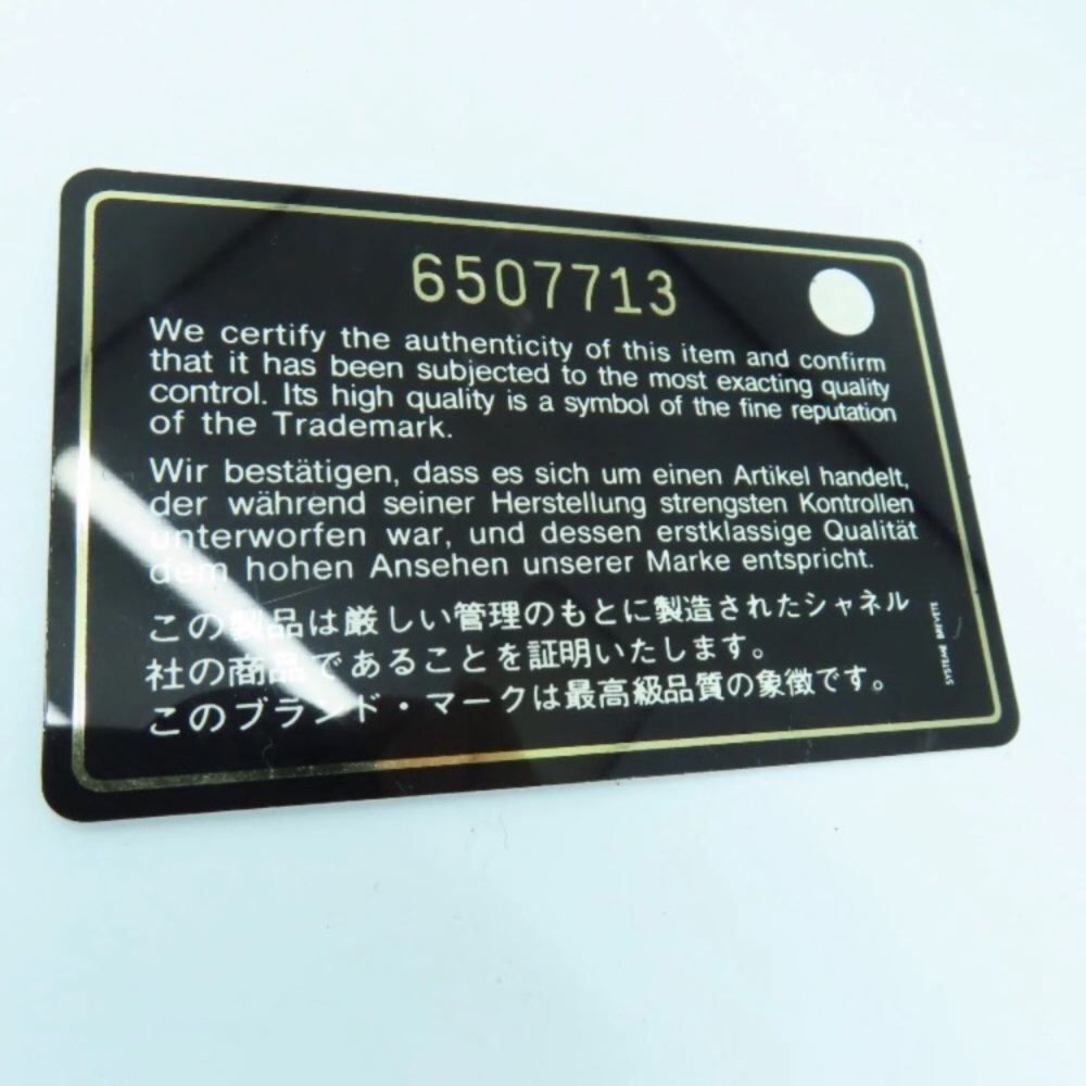 CHANEL CROSSBODY WOC - Picture 9 of 16